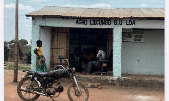 UM MODELO AGRÍCOLA DE APOIO LIDERADO POR MULHERES E JOVENS DAS COMUNIDADES: EMPREENDEDORES JOVENS NA CADEIA DE VALOR DO ZAMBEZE